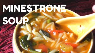 Homemade Minestrone Soup Recipe  Orzo Pasta Recipe [upl. by Mayer895]