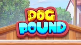 DOG POUND BOUNS BUY SESSION 🐕🐕🐕 [upl. by Asin]