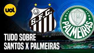 SANTOS X PALMEIRAS ONDE ASSISTIR AO VIVO HORÁRIO E ESCALAÇÕES NA FINAL DO PAULISTÃO 2024 [upl. by Seditsira106]