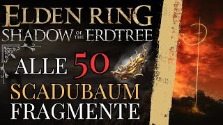 Elden Ring DLC Alle 50 Scadubaum Fragmente [upl. by Beaufert]