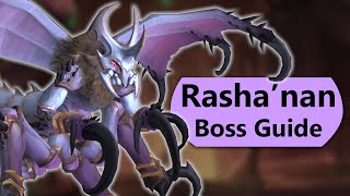 Rashanan Raid Guide  Normal and Heroic Rashanan Nerubar Palace Boss Guide [upl. by Beasley]