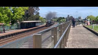 Steamrail Victoria Coming from Southern Cross to Traralgon Passing Moe Station 4K UHD [upl. by Cia]