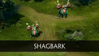 Dota 2 Courier  Shagbark [upl. by Nnaaras]