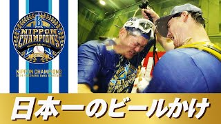 【横浜らしさ全開】26年ぶり日本一のビールかけ！「前回とは比にならないぐらいヤバイ」歓喜の様子をご覧ください！！ [upl. by Lilak980]