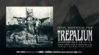 TREPALIUM  Insane Architect [upl. by Sausa202]