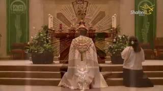 Eucharistic Adoration St Stephen Catholic Church [upl. by Maer833]