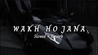 Wakh Ho Jana  Slowed Reverb [upl. by Fricke]