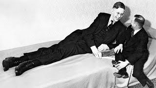 The Life Of Robert Wadlow The Worlds Tallest Man Ever [upl. by Fanechka]