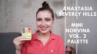 ANASTASIA BEVERLY HILLS  MINI NORVINA PRO PIGMENT PALETTE VOL 2  ОБЗОР ПАЛЕТКИ ТЕНЕЙ [upl. by Adiesirb449]