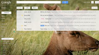 Introducing Custom Themes in Gmail [upl. by Hartzke]