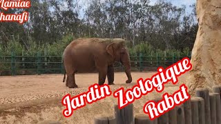 partie 3 de jardin Zoologique de rabat ✌💜🌺الجزء التالت🔴🔴 من حديقة الحيوانات في مدينة الرباط [upl. by Anhsirk]