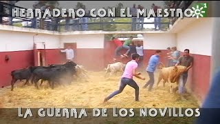 Toros de Ruiz Miguel herradero del maestro batalla de novillos 2018  Toros desde Andalucía [upl. by Vachill]