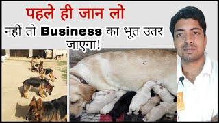 Real profit in Dog Business 🔥 [upl. by Nosreffej]