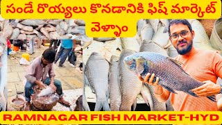 సండే రొయ్యలు 🦐 🦐 కొనడానికి 🐟 🐟ఫిష్ మార్కెట్ వెళ్ళాం  Ramnagar Fish Market Vlog  Hyderabad [upl. by Notsrik]