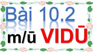 015 29 Declension of the masculine nouns ending in ū VIDŪ wise man of knower Pali [upl. by Ebbarta]