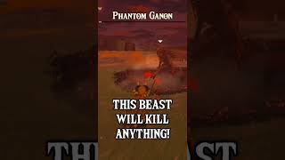 The DUMBEST WAY to kill Phantom Ganon [upl. by Ahsoem]