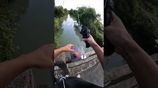 Learn carefully how to set up and fishing by automatic fishing rod and reelfishinggear fishing [upl. by Helbon]