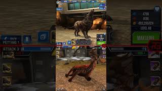 HYAENODON ALL EVOLUTION amp HYAENODON ALL ANIMATION  Jurassic World The Game [upl. by Yak640]