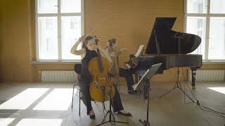 BEETHOVEN  Cello Sonata n° 5 op 1022 first movement [upl. by Pope]