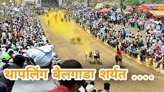 Thapling bailgada sharyat  थापलिंग बैलगाडा शर्यत  bailgada sharyat [upl. by Dde321]