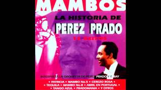 PEREZ PRADO  ♫♫ GRANDES EXITOS ♫♫ [upl. by Gan]