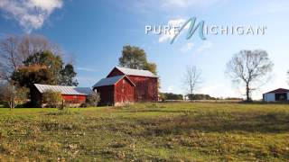 Corn Maze at Bestmaze  Pure Michigan [upl. by Hank]