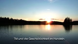 Geschicklichkeit im Handeln durch Transzendentale Meditation [upl. by Nosimaj]