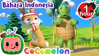 Lomba Lari Kelinci dan Kurakura  CoComelon Bahasa Indonesia  Lagu Anak Anak  Nursery Rhymes [upl. by Nevuer]