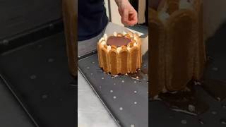 Tiramisu CakHow To Make Tiramisu Cake shortsvideo cake shortfeed tranding tiramisu [upl. by Christianson310]