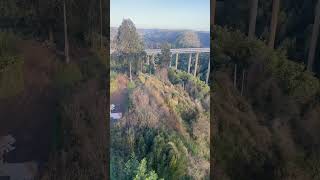 Viaductos del malleco chiletravel nature recorriendochile travelblog [upl. by Plunkett]