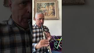 Divertimento K 240 Andante grazioso 18 Mozart lygeros music clarinet musicalinstrument [upl. by Yntruoc]