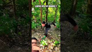 Lempar bola ke menara travel kungfu hiking vlog funny facts [upl. by Gadmon296]