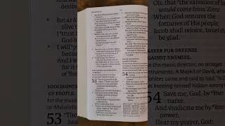 NASB Book of Psalms Chapter 52 [upl. by Anirok299]