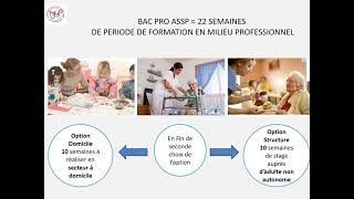 le bac pro ASSP [upl. by Uamak169]