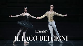 Il lago dei cigni  Coda del cigno nero Teatro alla Scala [upl. by Dranel714]