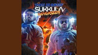 Sukkula Venukseen feat Kikka [upl. by Aeirdna]