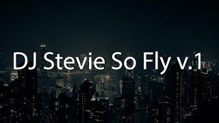 DJ Stevie So Fly v1 [upl. by Ytissahc309]