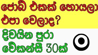 job vacancy 2023 sri lankaJob guide sri lanka job interview jobs abroadjobs at home sri lanka sl [upl. by Adnileb73]