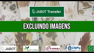 Excluindo imagens no JABOT TRANSFER [upl. by Gudrun949]