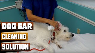 Best Dog Ear Cleaning Solutions in 2024 Top 10 Picks [upl. by Towbin]