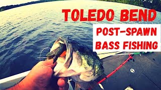 Toledo Bend Bass Fishing  Spawn is in Full Swing Early March Fun [upl. by Nos280]