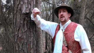 Foraging Wild Edible Plants with Mark quotMerriwetherquot Vorderbruggen [upl. by Jahdiel]