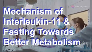 8 Mechanism of Interleukin 11 amp Fasting Towards Better Metabolism [upl. by Cornwall]