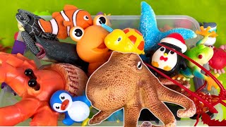 Learn SEA ANIMAL Names and FACTS with Fun TOYS  SEA ANIMAL Toys Video for Toddlers [upl. by Nochur244]