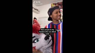 Furry TikTok  Video Compilation 3 [upl. by Edea]