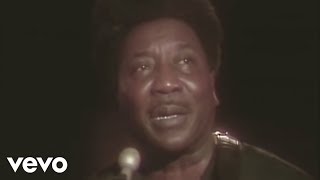 Muddy Waters  Hoochie Coochie Man Live [upl. by Chimene]