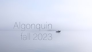 Algonquin fall 2023 [upl. by Stillas600]