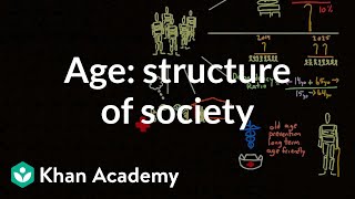 Demographic structure of society  age  Society and Culture  MCAT  Khan Academy [upl. by Silsby]