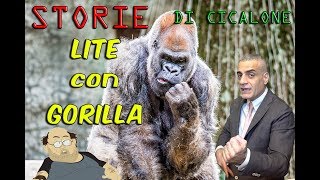 Lite con un Gorilla Vero [upl. by Ralfston415]