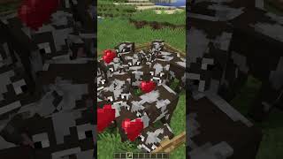 QOL Mods that may get you banned in Minecraft [upl. by Zachary189]